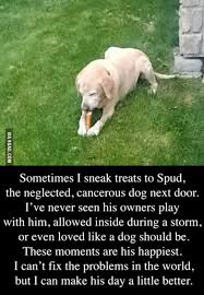 Pin On Our Pets