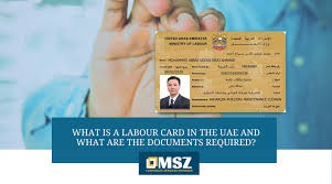 Provincial or territorial identification card (that is a photo card with the same security features as a driver's licence). What Is A Labour Card In The Uae Documents Required Msz Csp