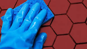 Alibaba.com offers 1,290 products to kill fleas products. How To Get Rid Of Fleas In Your House And More Thestreet