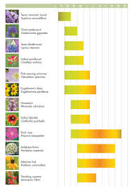 Bloom Chart Lady Bird Johnson Wildflower Center