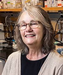 Dale Mahoney's Instagram, Twitter & Facebook