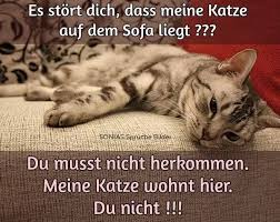 6 praktische tipps, um dein (sinnloses) leben zu genießen Wer Sieht Das Genauso Ein Leben Ohne Katze Ist Moglich Aber Sinnlos Facebook