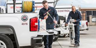 I recommend pest solutions as a professional company that performs a thorough job. Basf Pest Control Basf Pest Control Smart Solutions