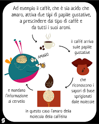 We did not find results for: Come Percepiamo I Sapori Non Ci Vuole Una Scienza