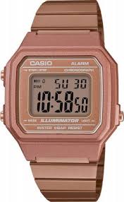 Taciz Sinekkapan Larvasi Her Sey Casio Bayan Saat Retro Bronz Dietepertutti Net