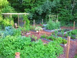 Creating A Raised Bed Garden Kevin Lee Jacobs