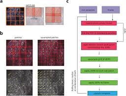 Solved Practice Determine Whether The Following | Chegg.Com