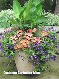 Container Gardening Ideas For Your Home Container Gardening Plants Garden Containers