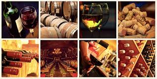 Check spelling or type a new query. 157 Compelling Wine Company Name Ideas That Aren T Taken