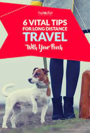 Best way to transport pets long distance. 6 Important Tips For Long Distance Traveling With Your Dog