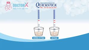 Quickstick hiện là que thử thai được dùng phổ biến nhất ở việt nam, đặc biệt được tin dùng trong các phòng khám, bệnh viện phụ sản, các cơ sở kế hoạch hóa gia đình. Que Thá»­ Thai Quickstick Co Chinh Xac Khong Doctorx Trang Thong Tin Chia Sáº» Sá»©c Khá»e Sinh Sáº£n Háº¡nh Phuc Gia Ä'inh
