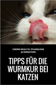 Sollten Katzen Vorsorglich Wurmkuren Erhalten Fest Steht Die Chemischen Mittel Haben Unangenehme Nebenwirkungen Welche Katzen Katzen Tierarzt Wurmkur Katze