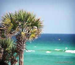 Under the wild sky, past soakin' fields i swеar with my but i am safe in here the smoking road stretchin' farther the rain may soak time's swingin braids but my car walks on the water. 12 Dirty Little Secrets About Life On Scenic Highway 30a 30a