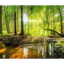 Decomonkey Fototapete Wald 3d 350x256 Cm Xxl Tapete Wandbild Bild Fototapeten Tapeten Wandtapete Wand Fototapete Wald Fototapete Wandbild Natur