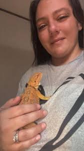 Daily routine in desert van life