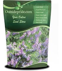 Image result for Aeschynomene bullockii