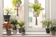 Lose the Drapes: 17 Ways to Dress a Window Without Curtains - Bob Vila