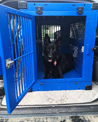 Impact Dog Crates On Instagram Looking Good In The 500 Collapsible Blue Why Would You Use A Collapsible Crate Dog Crate Dog Cages Dog Kennel Designs
