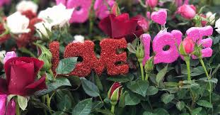 Maybe you would like to learn more about one of these? Love Is In Our Store Flowers You And Stater Bros Markets Facebook