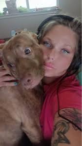 Lost Dog: Tipsy, Chipped, Wearing Collar Tags