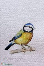 Want to discover art related to cinke? Akvarell Madarkak Cinke Sorozat Kekcinke Szencinke Baratcinege Meska Hu Bird Cool Designs Multi Color