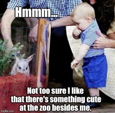 Prince George Meme With The Bilby Prince George Meme Prince George Georgie Porgie