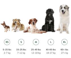 15 or less inches tall at the shoulder. Faq Whimzees
