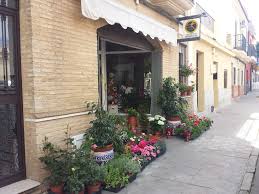 Floristería Benítez