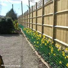 We stand by the high quality and usefulness of our items. Battery Powered 50m Rabbit Badger Electric Netting Kit At Flyte So Fancy