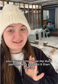 Duck Driving Cars: A Quirky 2021 Trend