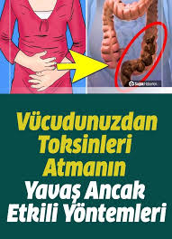 Ic Organlarinizdan Toksinleri Atmanin Yavas Ancak Etkili Yontemleri Saglik Saglikli Yasam Recete