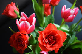 Nie znaczy to oczywiście, że w jej mieszkaniu panuje bałagan, po prostu w tym względzie nie lubi przesady. Krystyna I Bozena Dzis Maja Swoje Swieto Poznaj Slynne Polki O Tych Imionach Glos Wielkopolski