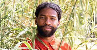 How Eric Mack transformed his East Lake yard into one of Atlanta's best  pop-up plant shops