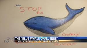 Administrators, who also happen to be curators in the game, start by motivating the subjects . The Dangers Behind The Blue Whale Challenge App