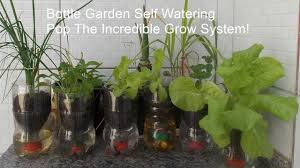 We did not find results for: Bottle Garden Self Watering Pop The Incredible Grow System Youtube