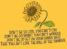 The earth laughs in flowers. Top 190 Quotes On Sunflower Quotes Quotesdr Com
