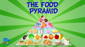 The Food Pyramid Educational Video For Kids