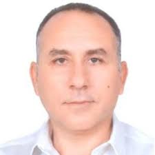 Stability of a landslide by piles