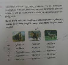 Animals that eat meat and plants are called 'omnivores'. Heterotrof Canlilar Holozoik Ayristirici Ya Da Sim Biyoloji