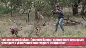 Canguros vs uruguay, parece que el internet nunca descansa, siempre hay temas de los cuales se pueden hablar, sin embargo, ¿qué es lo que hacen estas personas? Uruguay Vs Canguros A Quien Le Vas