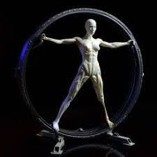 Vitruvian Host Westworld Westworld Hosting Statue