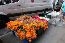 Maybe you would like to learn more about one of these? B Floral S Guide To The New York City Flower Market