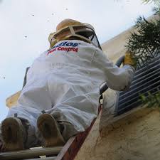 Each san diego technician goes through extensive training before getting to work. Adios Pest Control
