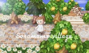 animal crossing ʕっ ᴥ ʔっ おしゃれまとめの人気アイデア pinterest 𝒔𝒖𝒔𝒉𝒊 とび森 マイデザイン とびだせ どうぶつの森 3ds とび森 マイデザイン 地面