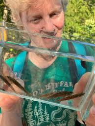 Darting Past Extinction: Endangered Fish in Birmingham