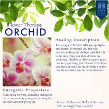 Even a glance of flowering plants can make you experience a vibe of solace, healing, and charm. Orchards For Continuing Forward Gathering Strength To Reach Goals Hardy Creatures That They Are Flower Therapy Orch Flower Therapy Healing Flowers Orchids