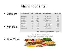 Outline The Function Of Macro And Micronutrients Main Function Is To Provide Calories Micronutrients Micro Nutrients Ideal Diet