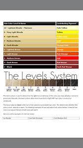 Hair Level System Hair Color Level Hair Color Color Techniques
