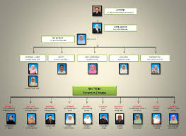 As Sparkling As Emerald Emerald Organisational Chart