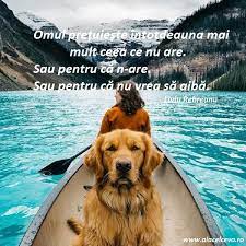 Din orice durere, orice păcat. Vreau Sa Fiu Un Om Mai Bun